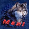 Benutzer Avatar